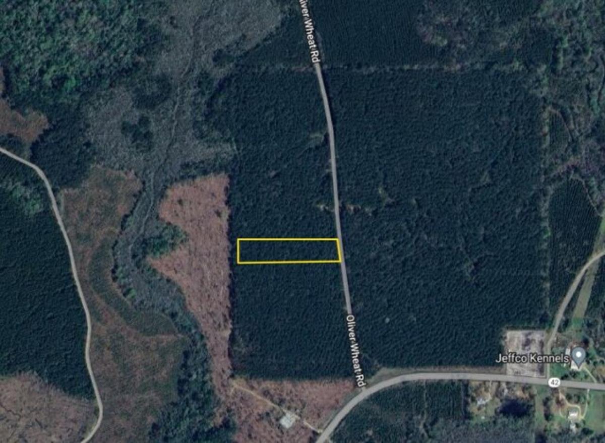 Picture of Residential Land For Sale in Livingston, Louisiana, United States