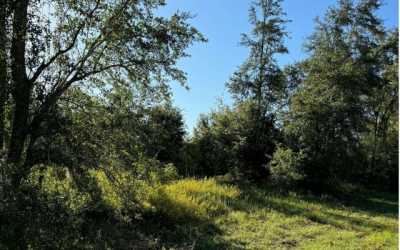 Residential Land For Sale in 