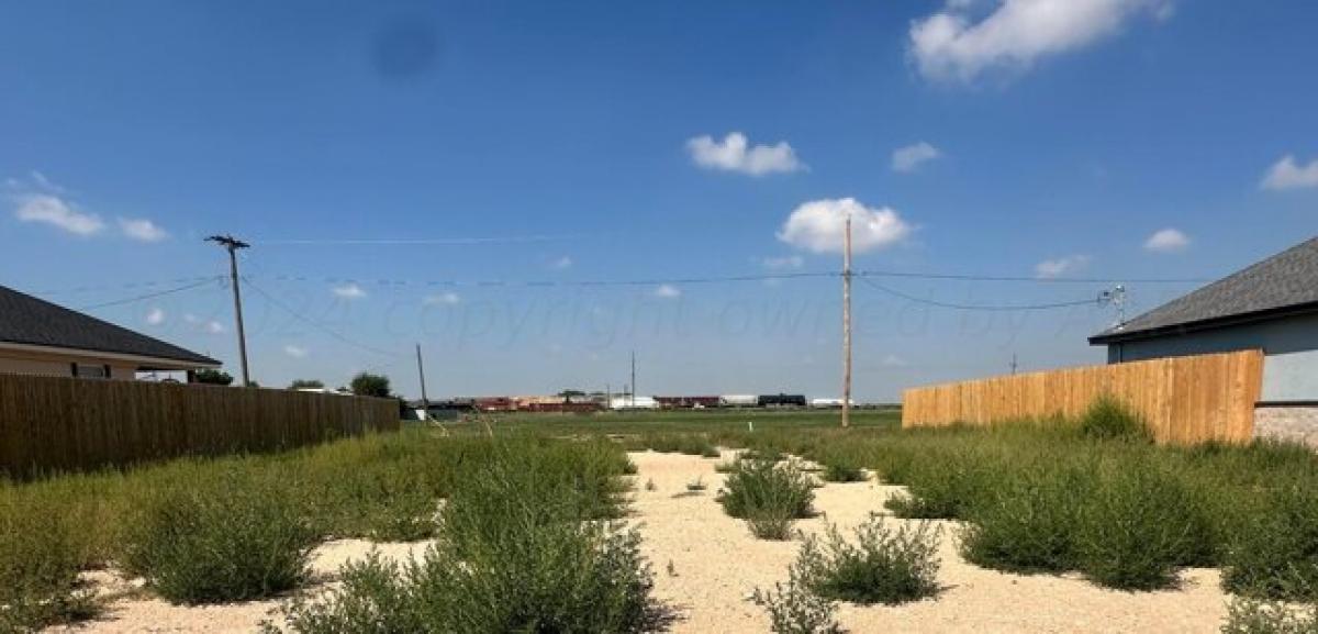 Picture of Residential Land For Sale in Cactus, Texas, United States