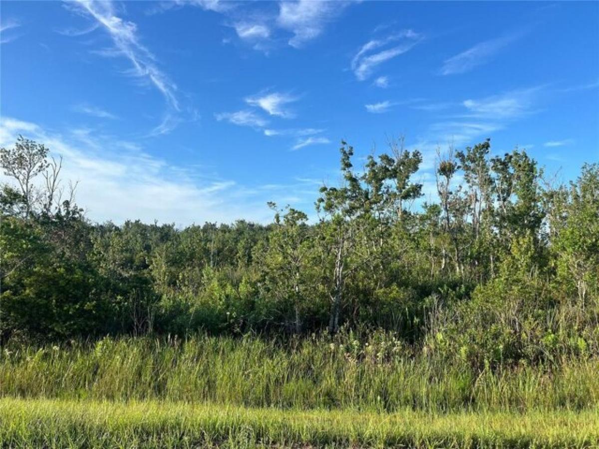 Picture of Residential Land For Sale in Okeechobee, Florida, United States