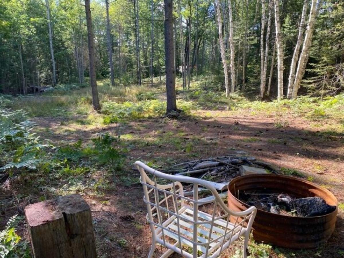 Picture of Home For Sale in De Tour Village, Michigan, United States