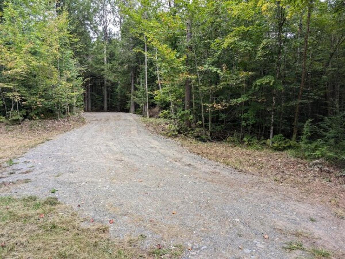 Picture of Residential Land For Sale in Milo, Maine, United States