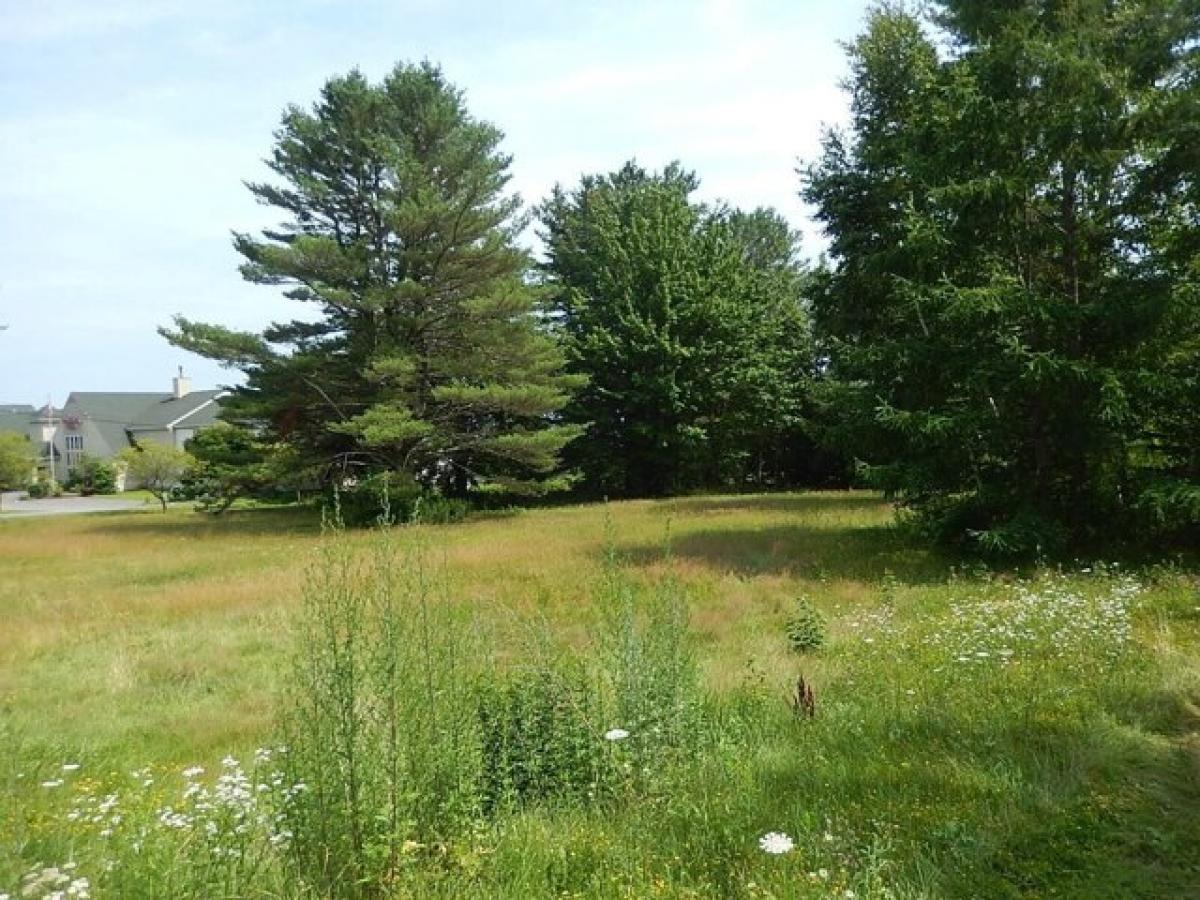 Picture of Residential Land For Sale in Belfast, Maine, United States