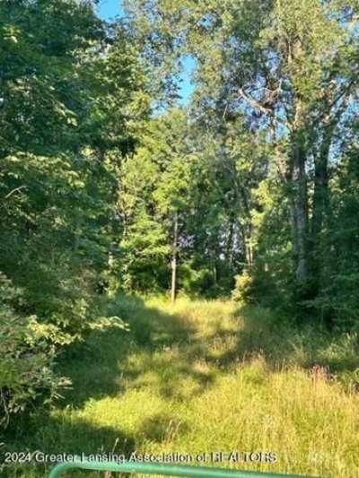 Residential Land For Sale in Leslie, Michigan