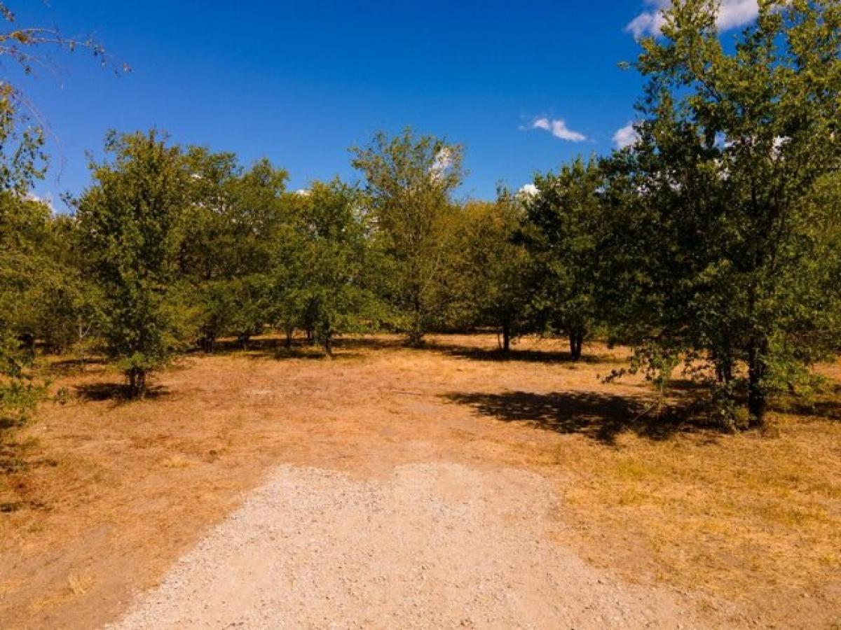 Picture of Residential Land For Sale in Quinlan, Texas, United States