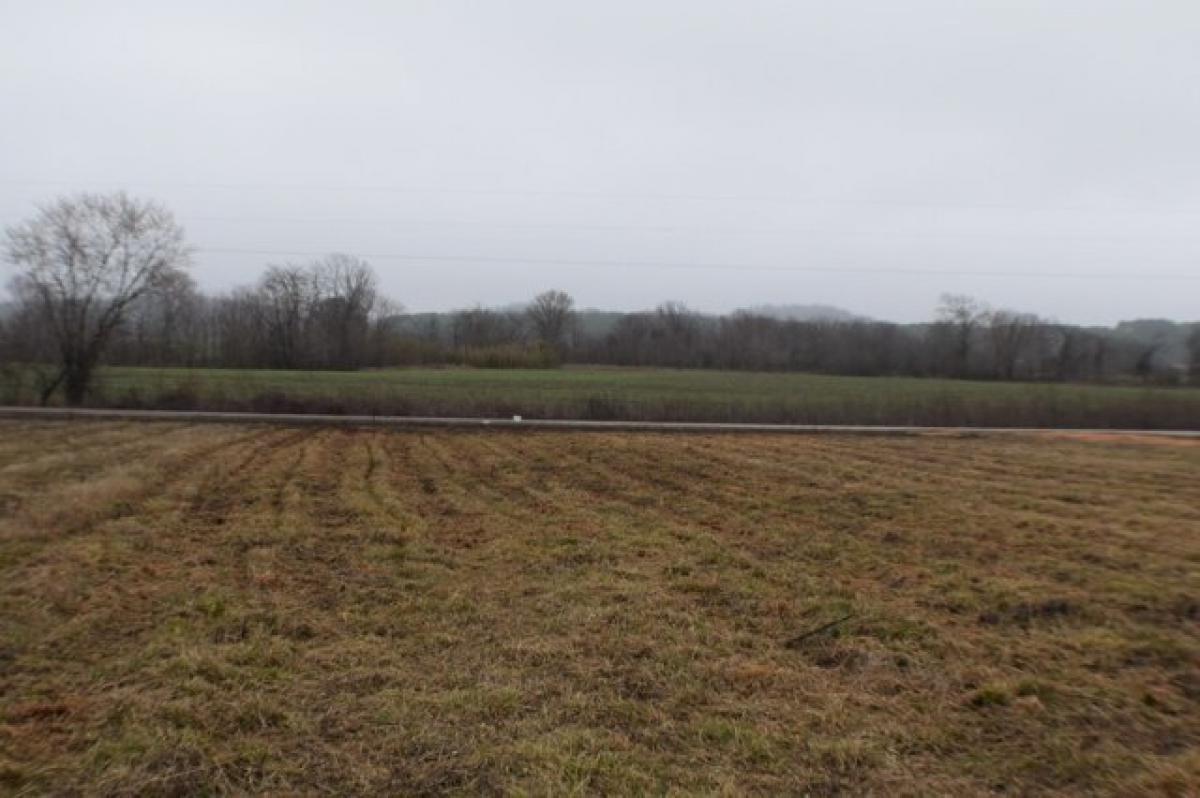 Picture of Residential Land For Sale in Clifton, Tennessee, United States