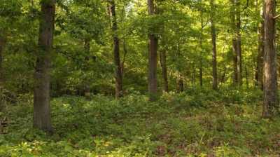 Residential Land For Sale in 