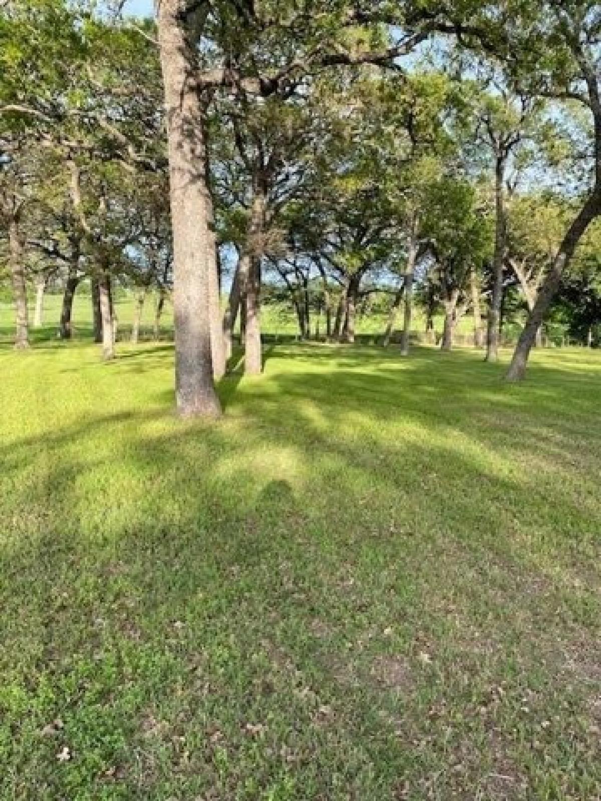 Picture of Residential Land For Sale in Corsicana, Texas, United States