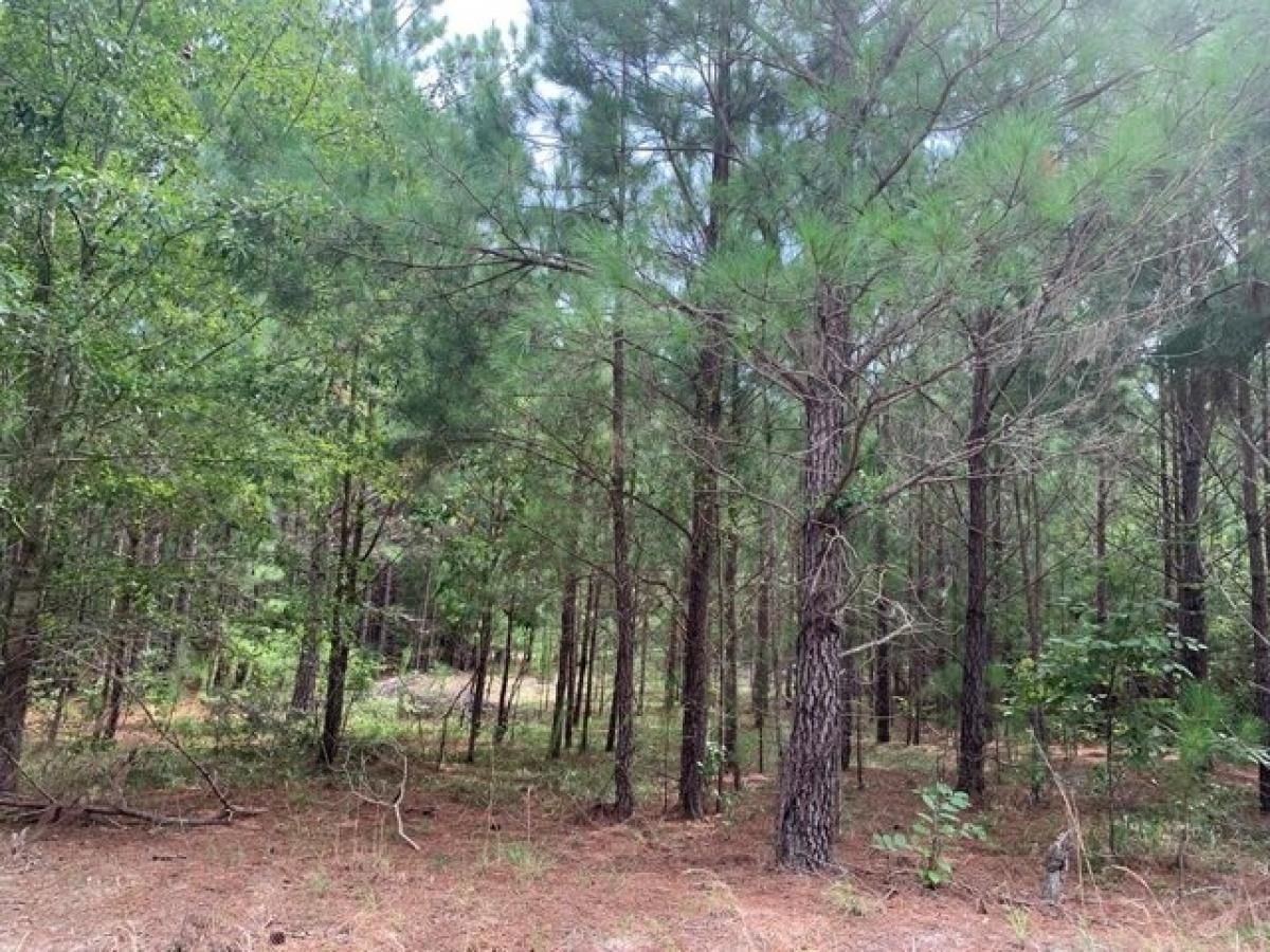 Picture of Residential Land For Sale in Rembert, South Carolina, United States