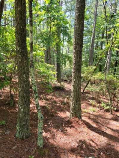 Residential Land For Sale in Copperhill, Tennessee