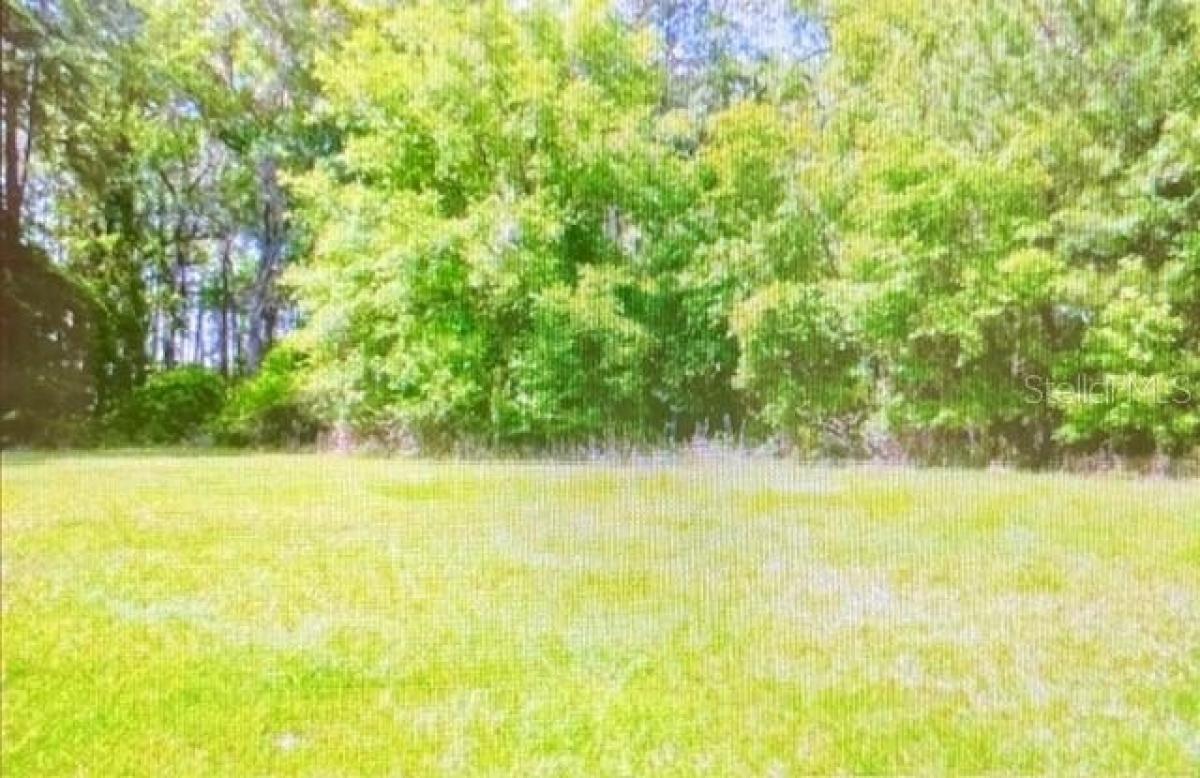 Picture of Residential Land For Sale in Alachua, Florida, United States