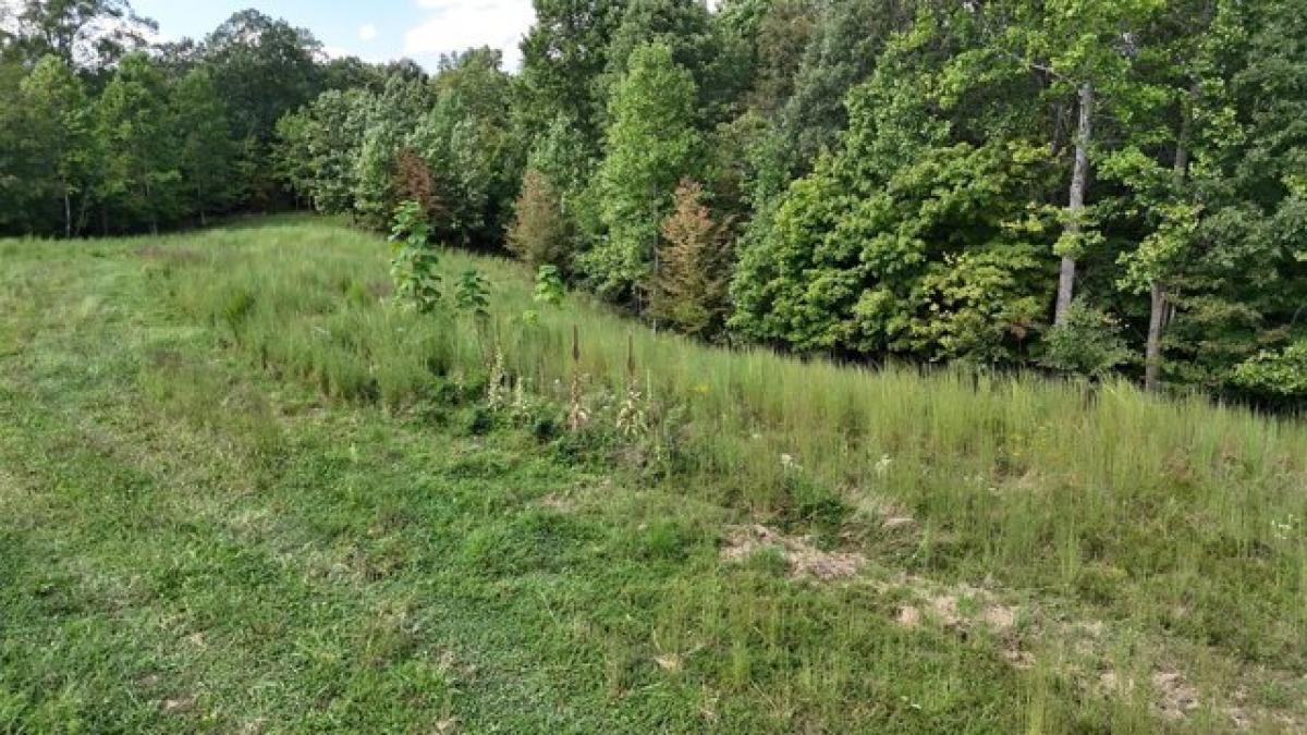 Picture of Residential Land For Sale in Indian Mound, Tennessee, United States