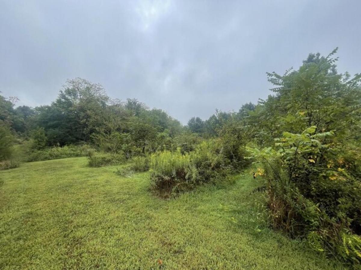 Picture of Residential Land For Sale in Billings, Missouri, United States