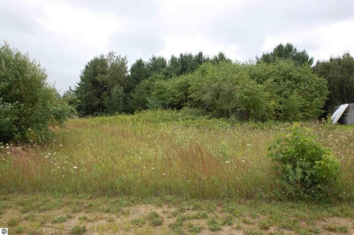 Picture of Residential Land For Sale in West Branch, Michigan, United States