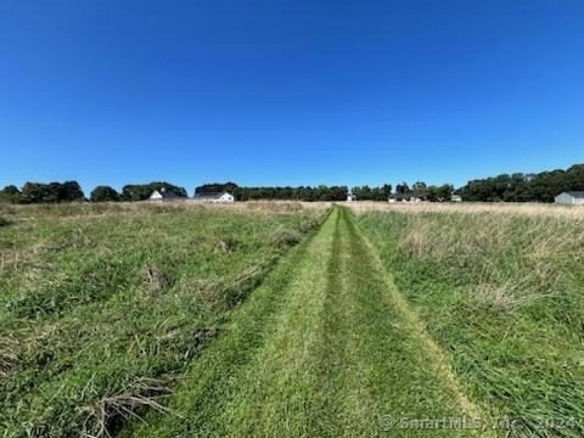 Picture of Residential Land For Sale in Columbia, Connecticut, United States