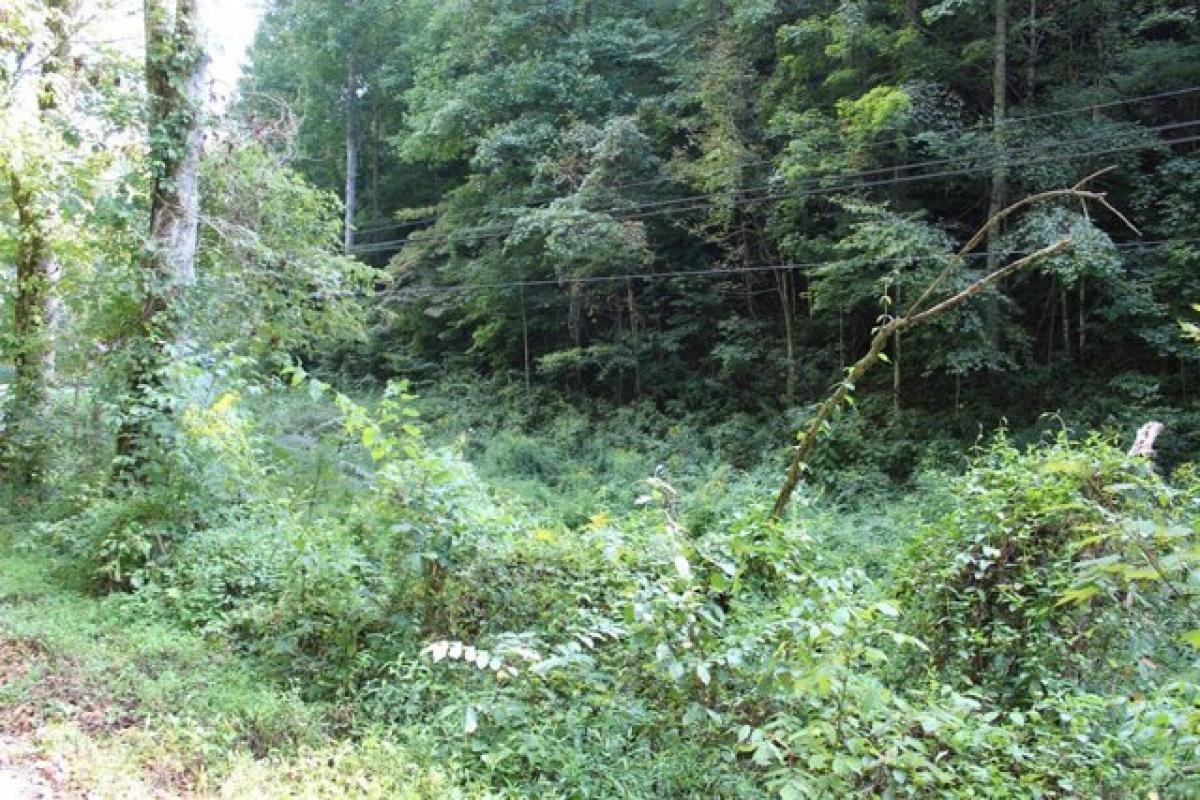 Picture of Residential Land For Sale in Honaker, Virginia, United States