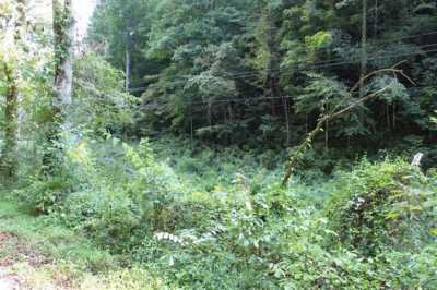 Residential Land For Sale in Honaker, Virginia