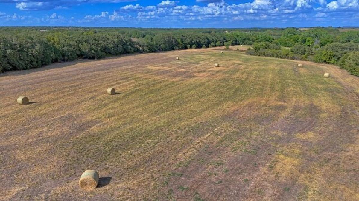 Picture of Residential Land For Sale in Bowie, Texas, United States