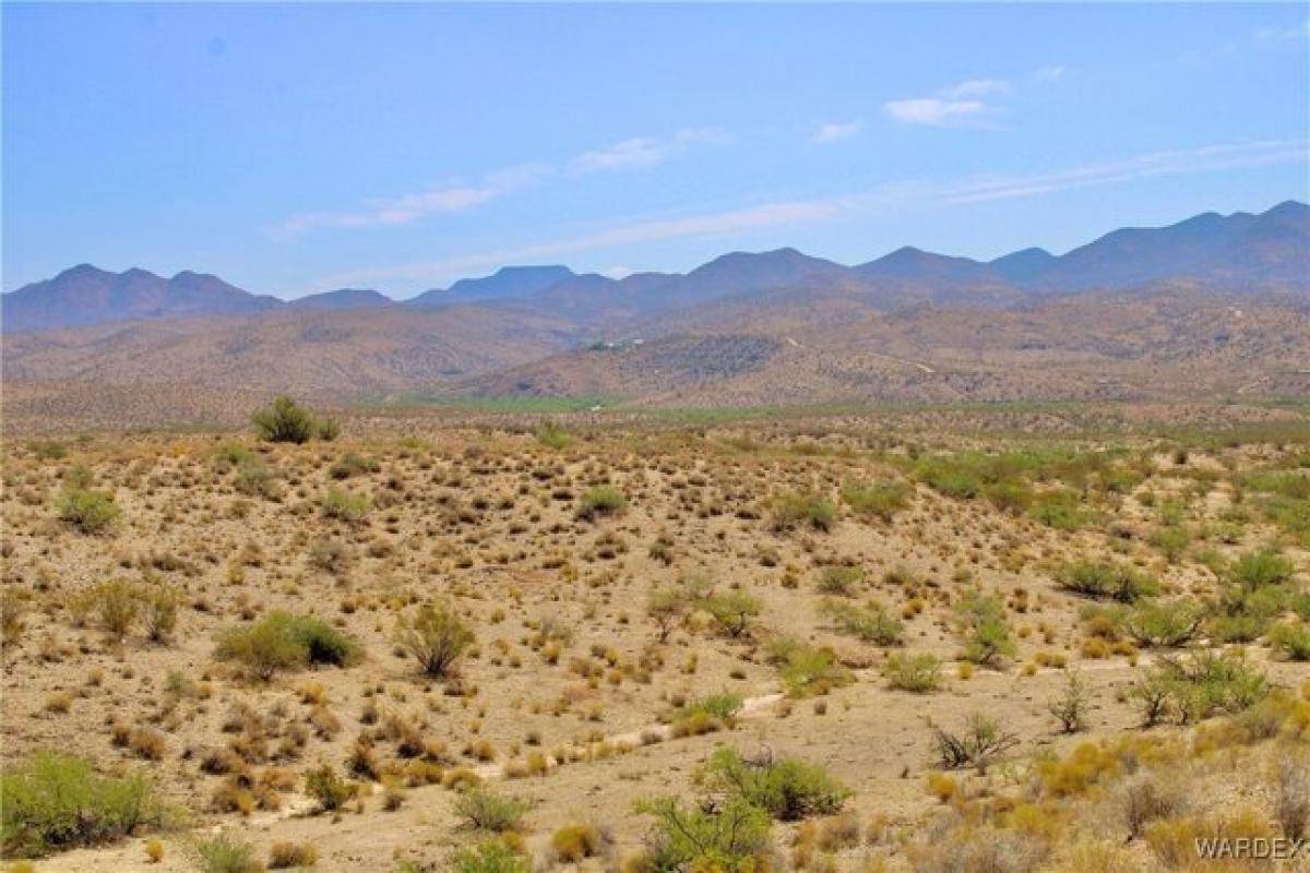 Picture of Residential Land For Sale in Kingman, Arizona, United States