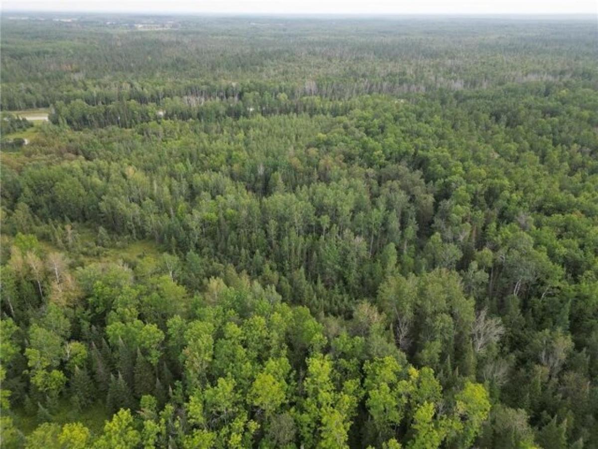 Picture of Residential Land For Sale in Littlefork, Minnesota, United States