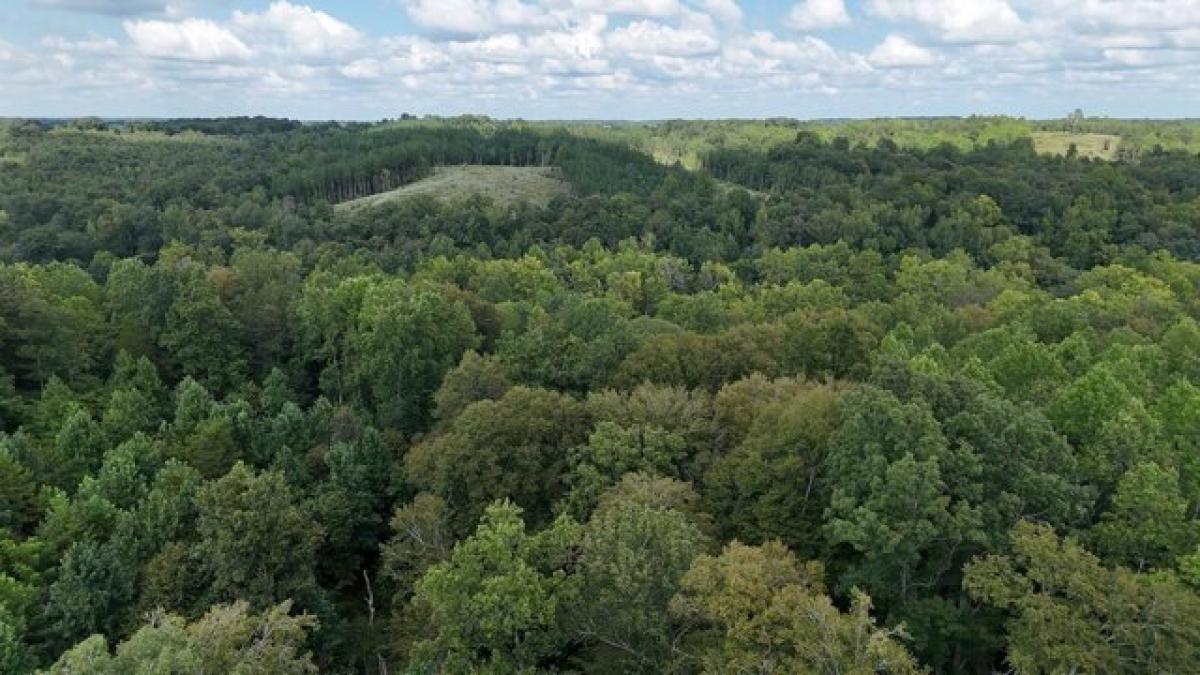 Picture of Residential Land For Sale in Indian Mound, Tennessee, United States