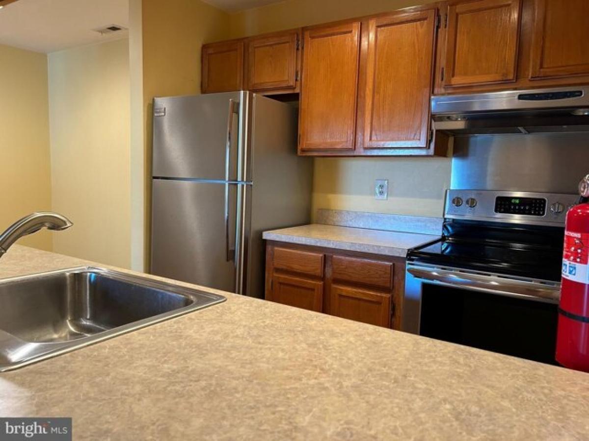 Picture of Apartment For Rent in Cherry Hill, New Jersey, United States