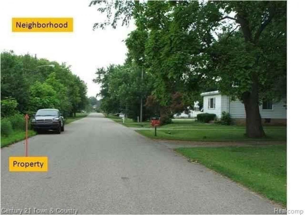 Picture of Residential Land For Sale in Mount Morris, Michigan, United States