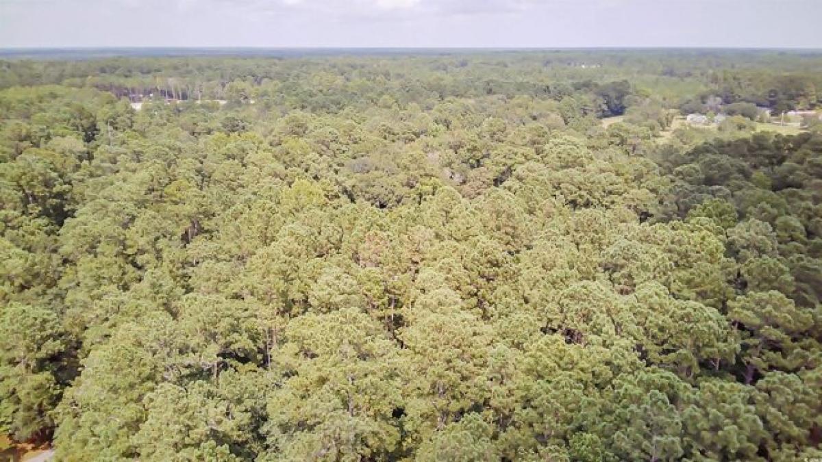 Picture of Residential Land For Sale in Conway, South Carolina, United States