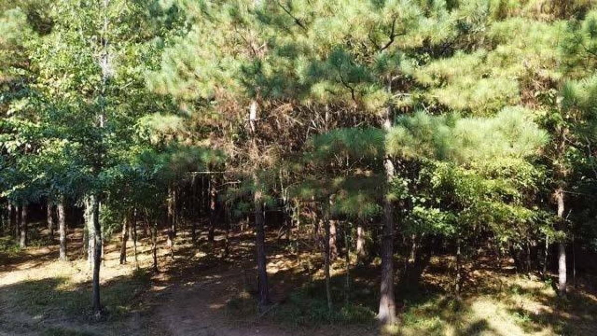 Picture of Residential Land For Sale in Noxapater, Mississippi, United States