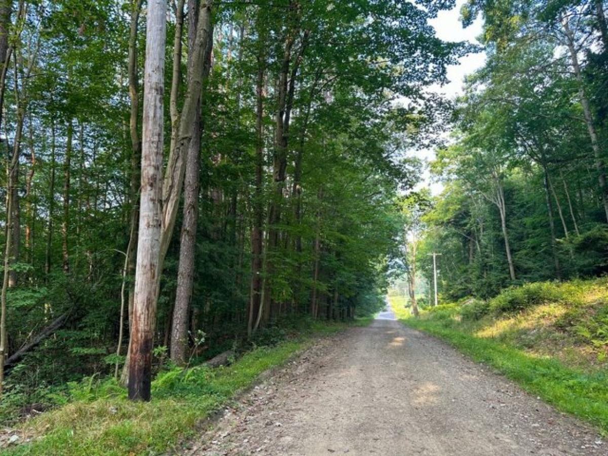 Picture of Residential Land For Sale in Salamanca, New York, United States