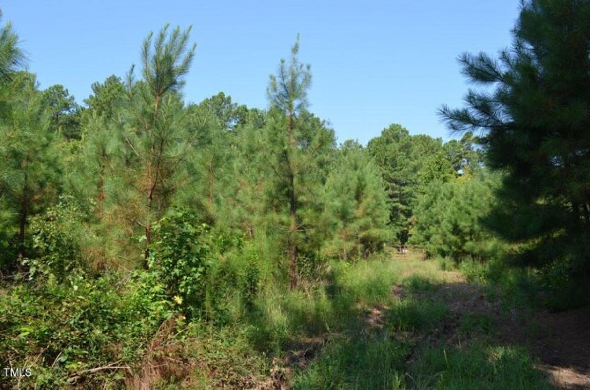 Picture of Residential Land For Sale in Pittsboro, North Carolina, United States