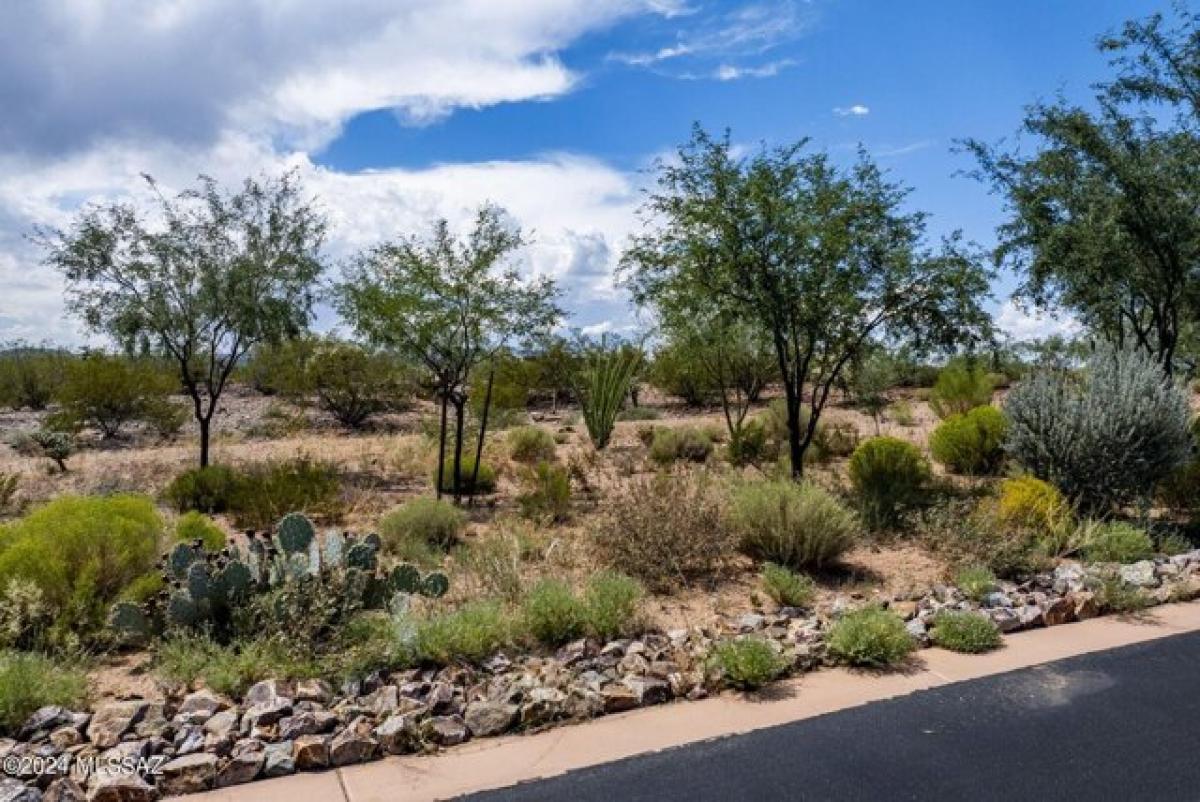 Picture of Residential Land For Sale in Sahuarita, Arizona, United States