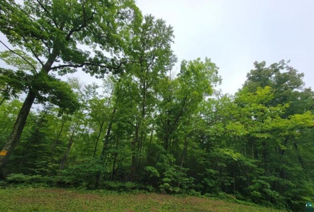 Picture of Residential Land For Sale in Bayfield, Wisconsin, United States