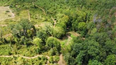 Residential Land For Sale in Pickens, Mississippi