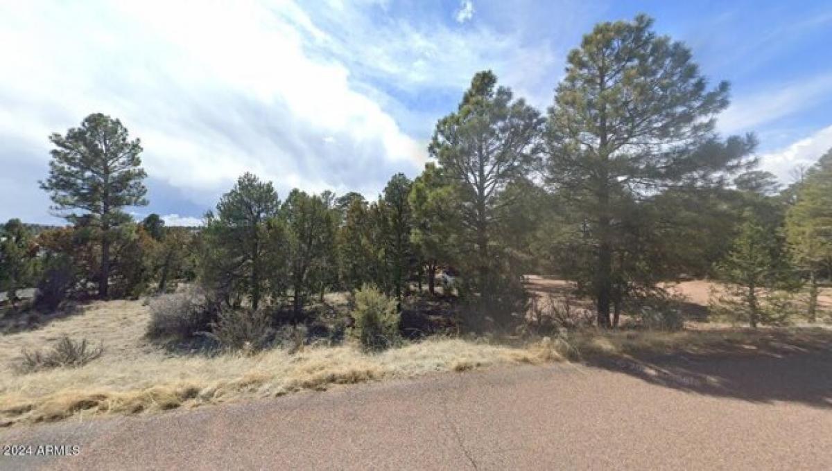 Picture of Residential Land For Sale in Overgaard, Arizona, United States