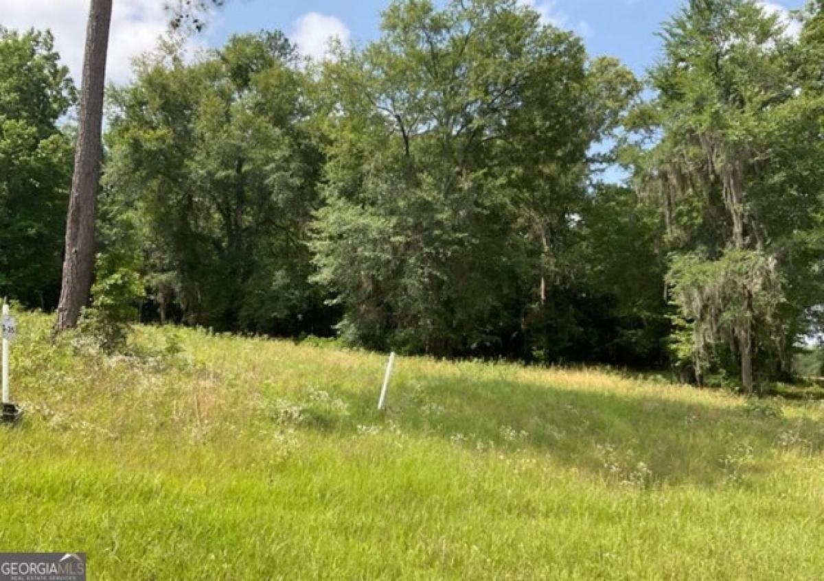 Picture of Residential Land For Sale in Hawkinsville, Georgia, United States