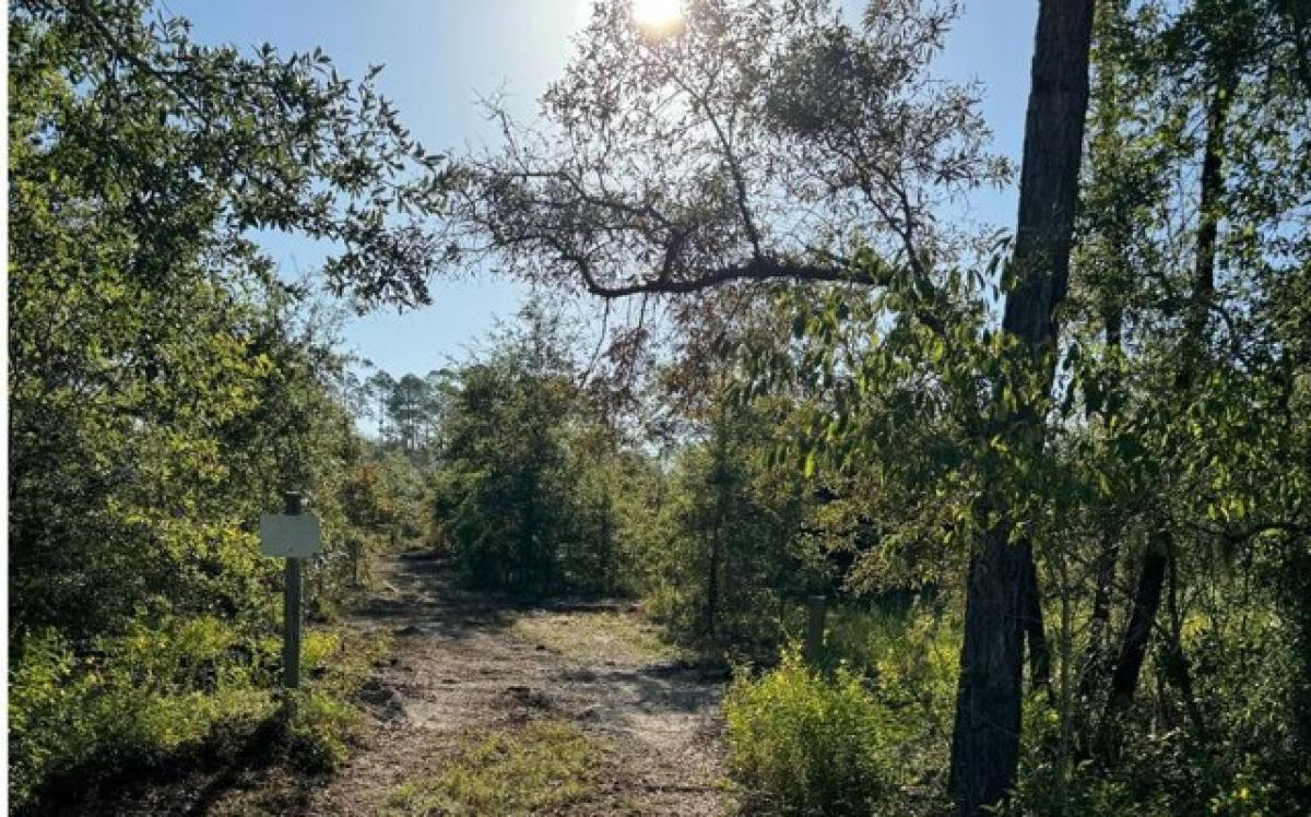 Picture of Residential Land For Sale in Lake City, Florida, United States