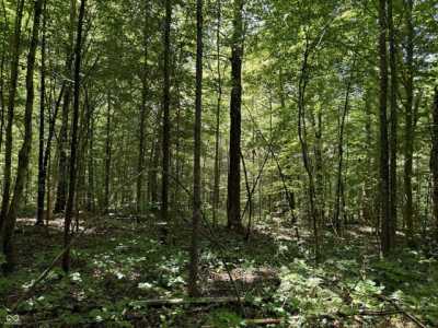 Residential Land For Sale in Paoli, Indiana