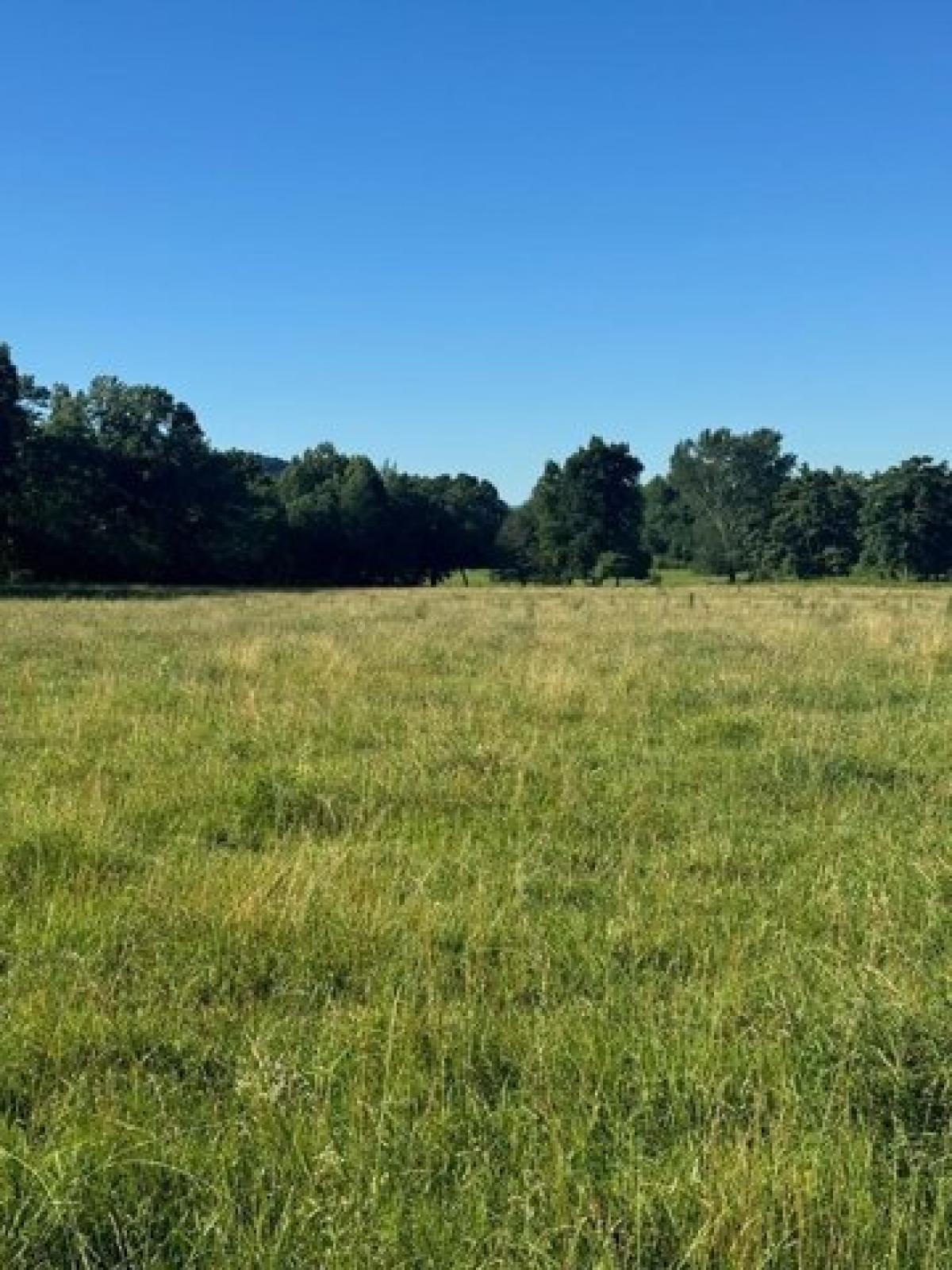 Picture of Residential Land For Sale in Livingston, Tennessee, United States