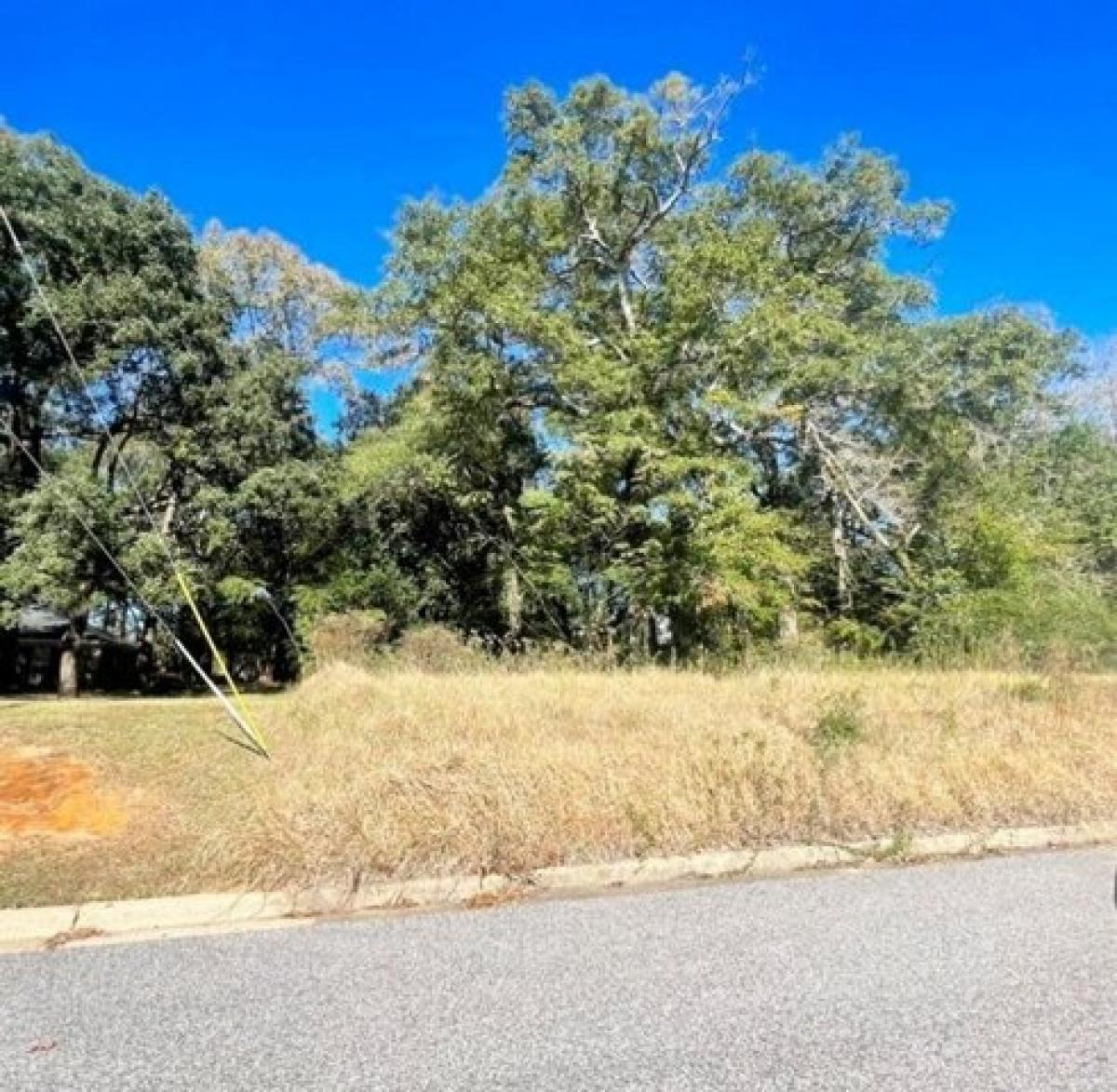 Picture of Residential Land For Sale in Mobile, Alabama, United States