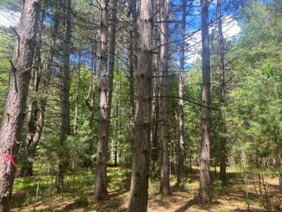 Residential Land For Sale in Minocqua, Wisconsin