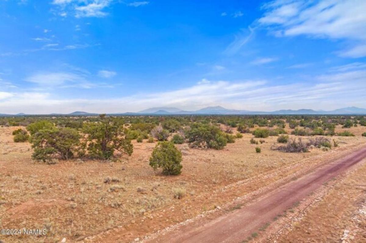 Picture of Residential Land For Sale in Williams, Arizona, United States