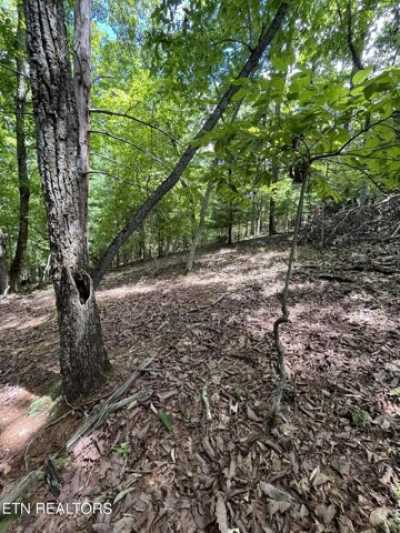 Residential Land For Sale in Spring City, Tennessee