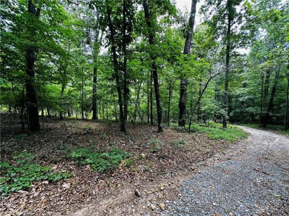 Picture of Residential Land For Sale in Rome, Georgia, United States