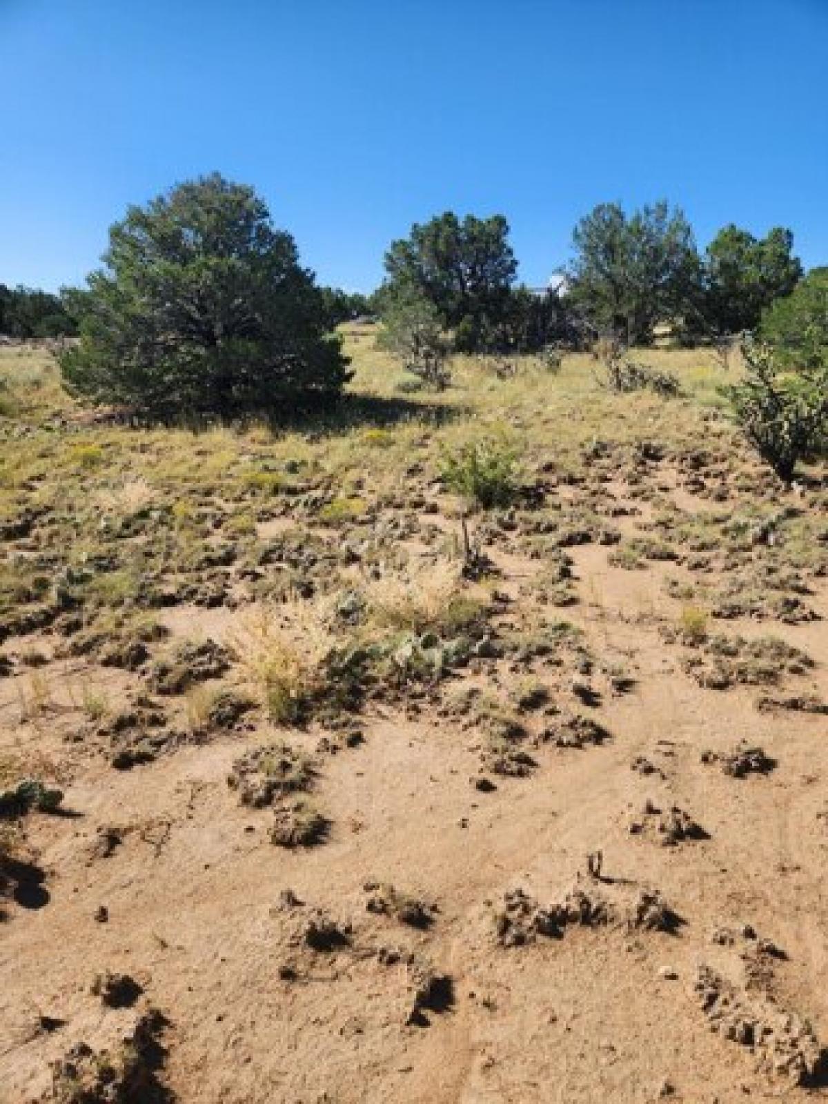 Picture of Residential Land For Sale in Walsenburg, Colorado, United States