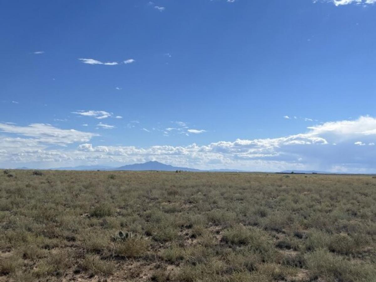 Picture of Residential Land For Sale in Los Lunas, New Mexico, United States