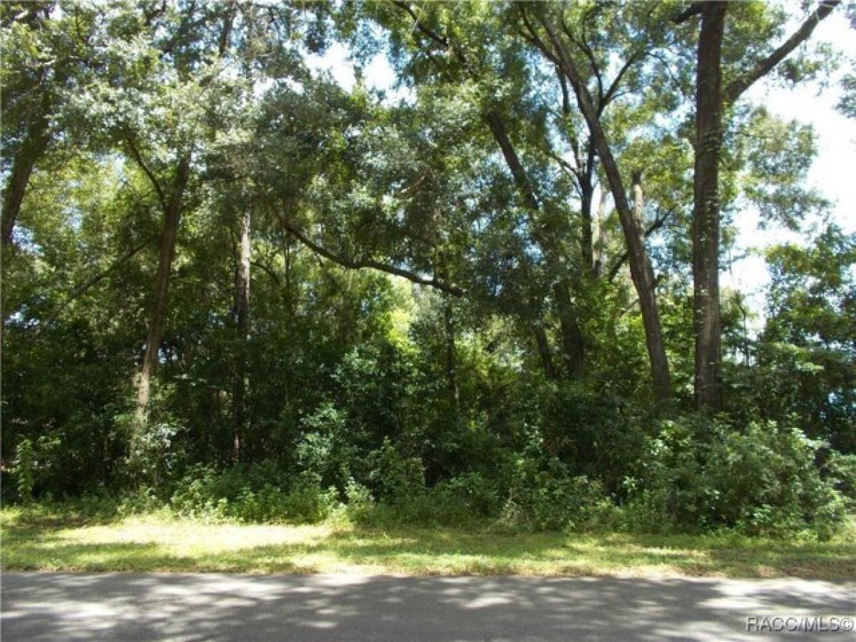 Picture of Residential Land For Sale in Citrus Springs, Florida, United States