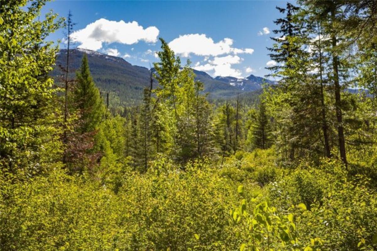 Picture of Residential Land For Sale in Bigfork, Montana, United States