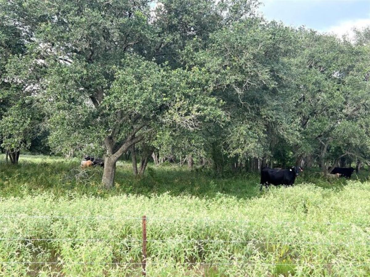 Picture of Residential Land For Sale in El Campo, Texas, United States