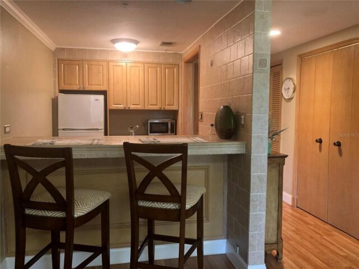 Picture of Home For Rent in Palm Harbor, Florida, United States